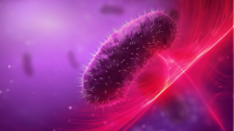 Bacteria illustration.