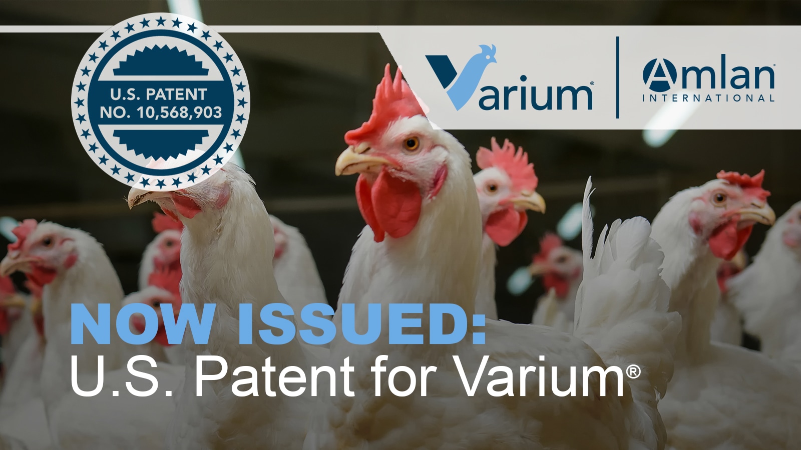 新闻稿，Varium®专利公告。