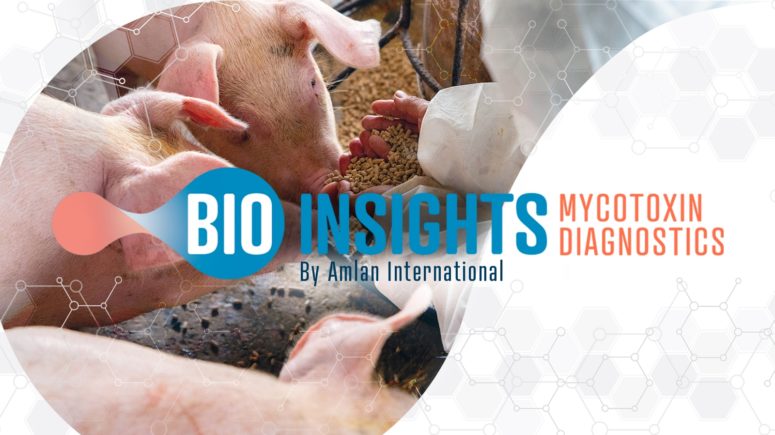 Bio Insights Diagnóstico de micotoxinas por Amlan International