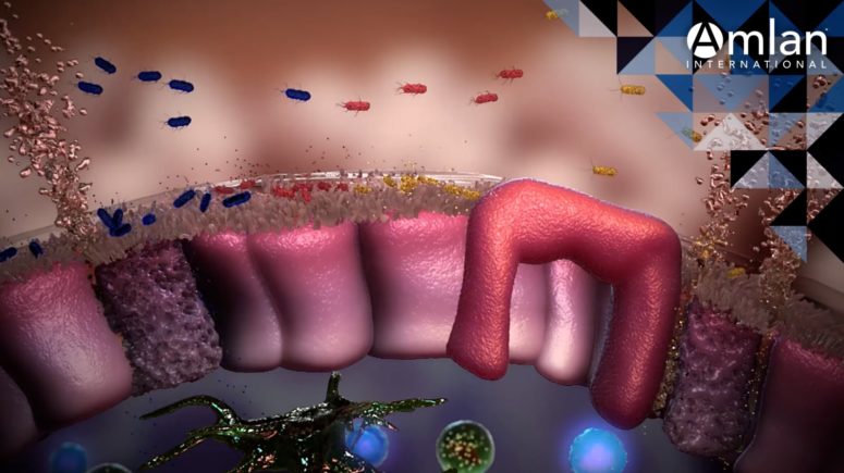 Ilustración generada por computadora de bacterias intestinales.