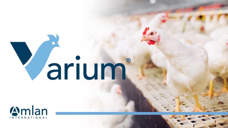 Logotipo de Varium con pollos en el fondo.