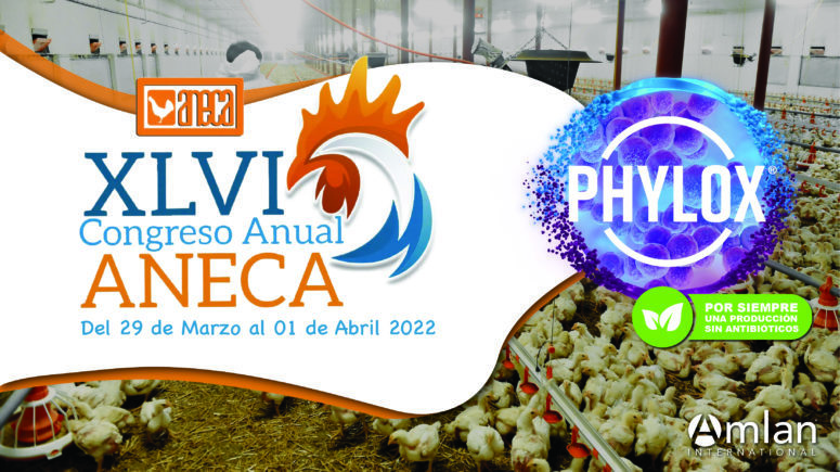 ANECA Congress with Phylox logo.