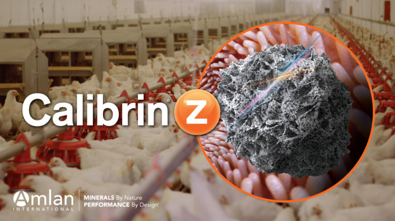 Logotipo de Calibrin-Z con pollos de fondo.