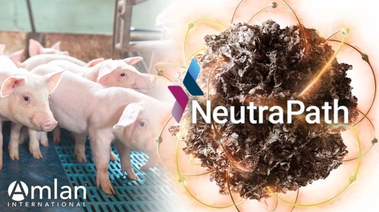 NeutraPath® para la eficacia de la producción en cerdos logotipo gráfico.