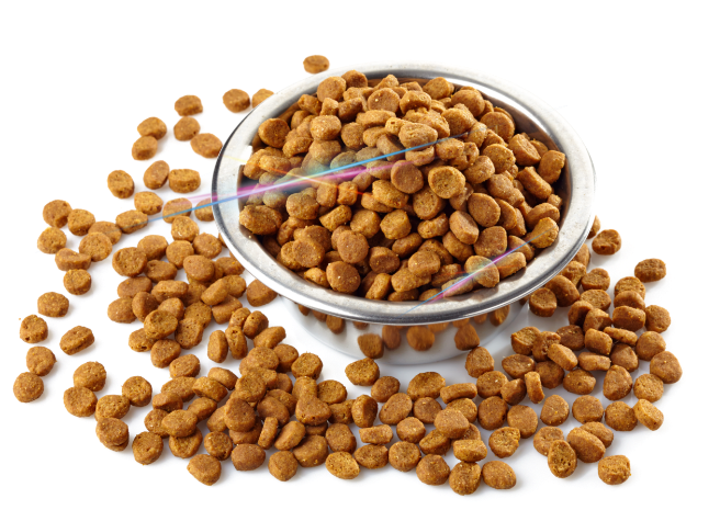 Dog food in a bowl.