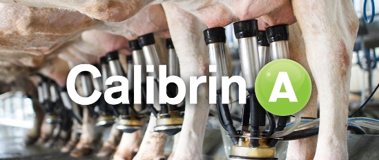 Calibrin-A 标志，背景中有正在挤奶的奶牛。