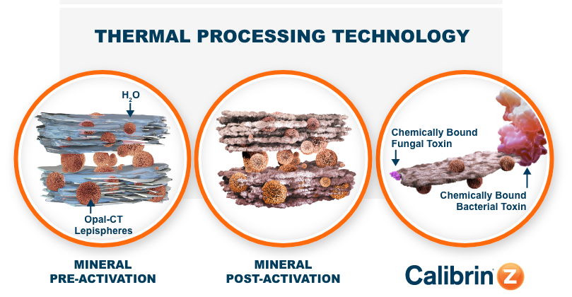 Infografía de tecnología de procesamiento térmico.