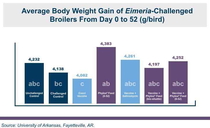 Average Body Weight Gain Info Graphic | Amlan International