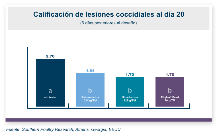 Gráfico informativo de puntajes de lesiones coccidiales | Amlán Internacional