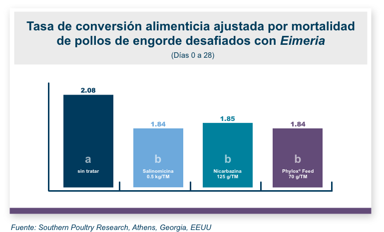 Gráfico de información de tasa de conversión de alimentación | Amlán Internacional