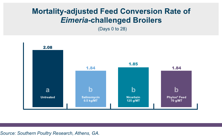 Feed Conversion Rate Info Graphic | Amlan International