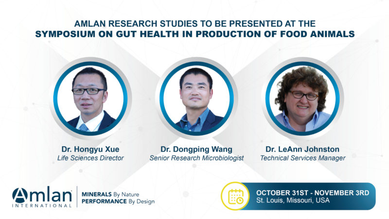 A graphic with profile pictures for Dr. Hongyu Xue, Dr. Dongping Wang and Dr. LeAnn Johnston.
