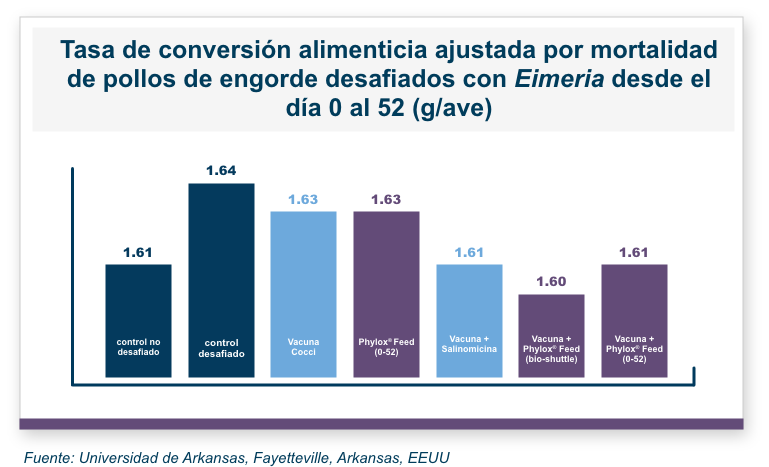 Gráfico de información de conversión de alimentación ajustada por mortalidad | Amlán Internacional