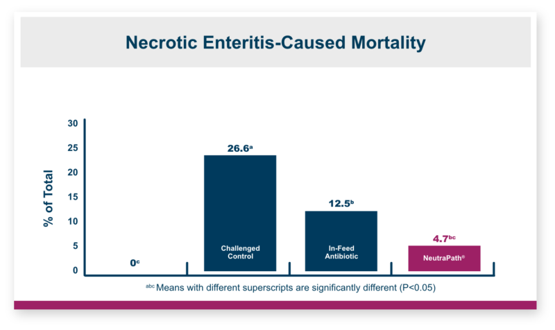 Mortality Rates Info Graphic | Amlan International
