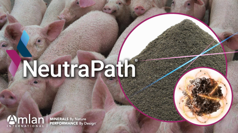 Biología de NeutraPath con cerdos de fondo.