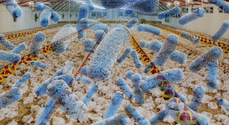 Blue Salmonella floating above poultry house compositing.