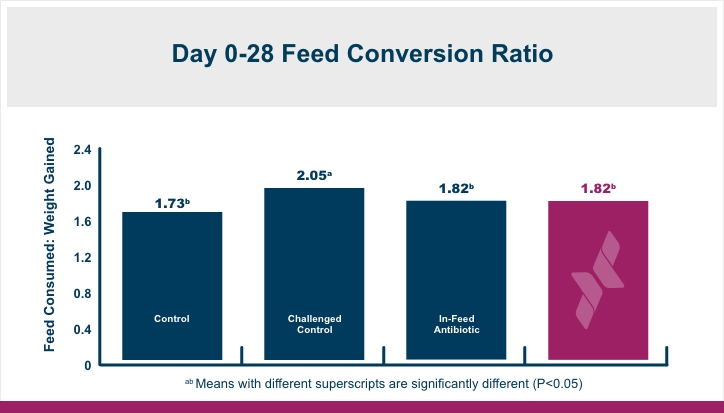 NeutraPath® Día 0-28 Ratio de conversión de feed infografía | Amlan Internacional