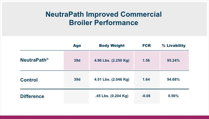 NeutraPath® mejoró la infografía de rendimiento del pollo de engorde comercial | Amlan Internacional
