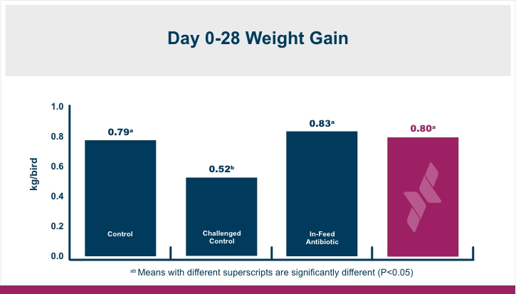 NeutraPath® Day 0-28 Weight Gain Infographic | Amlan International