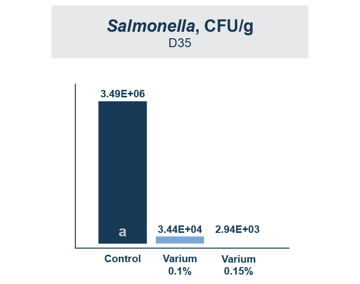 Salmonella colonization of the small intestine and digesta information.