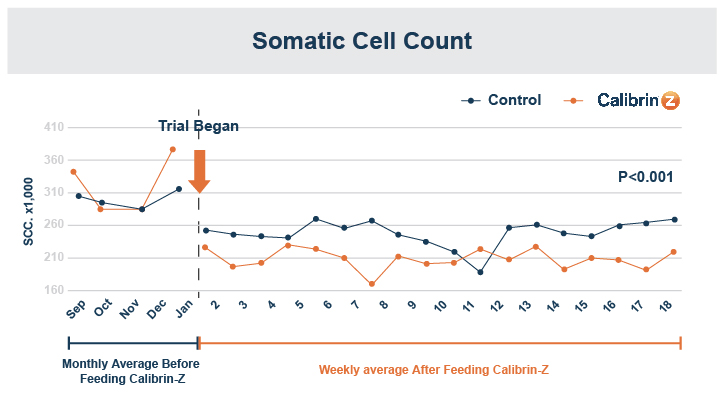 Somatic cell count info graphic.