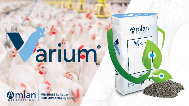 Logotipo de Varium® con pollos de engorde en el fondo.