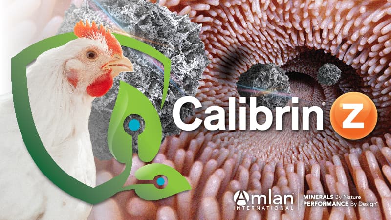 Logotipo de Calibrin-Z® e infografía de granja avícola.
