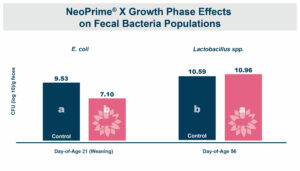 E. Coli Interaction Treatment X growth phase chart.