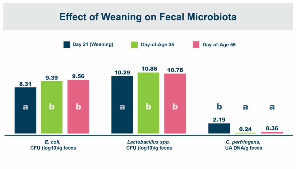Tabla de efectos de la microbiota en cada fase.