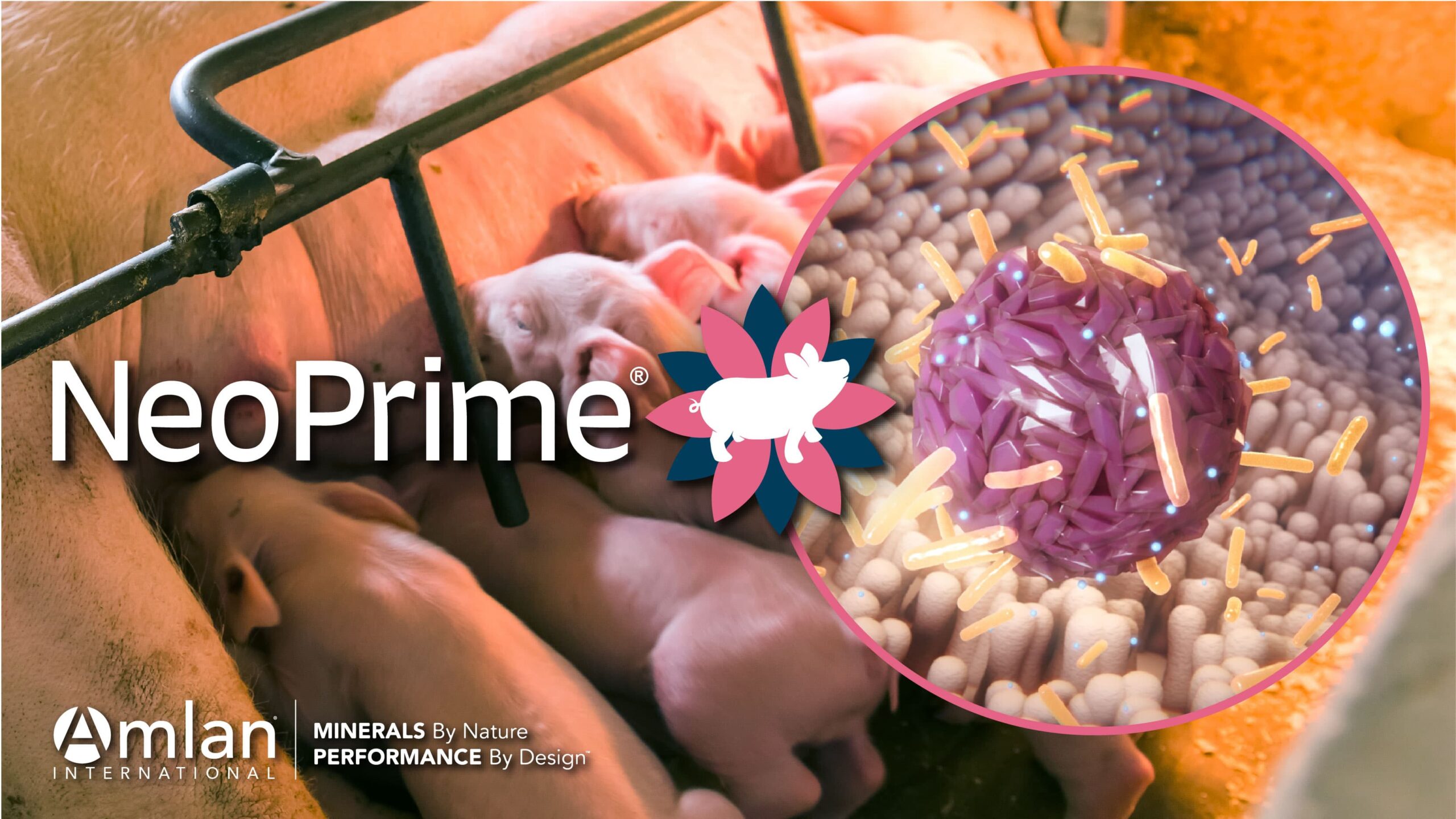 NeoPrime® logo with sow and piglets background.