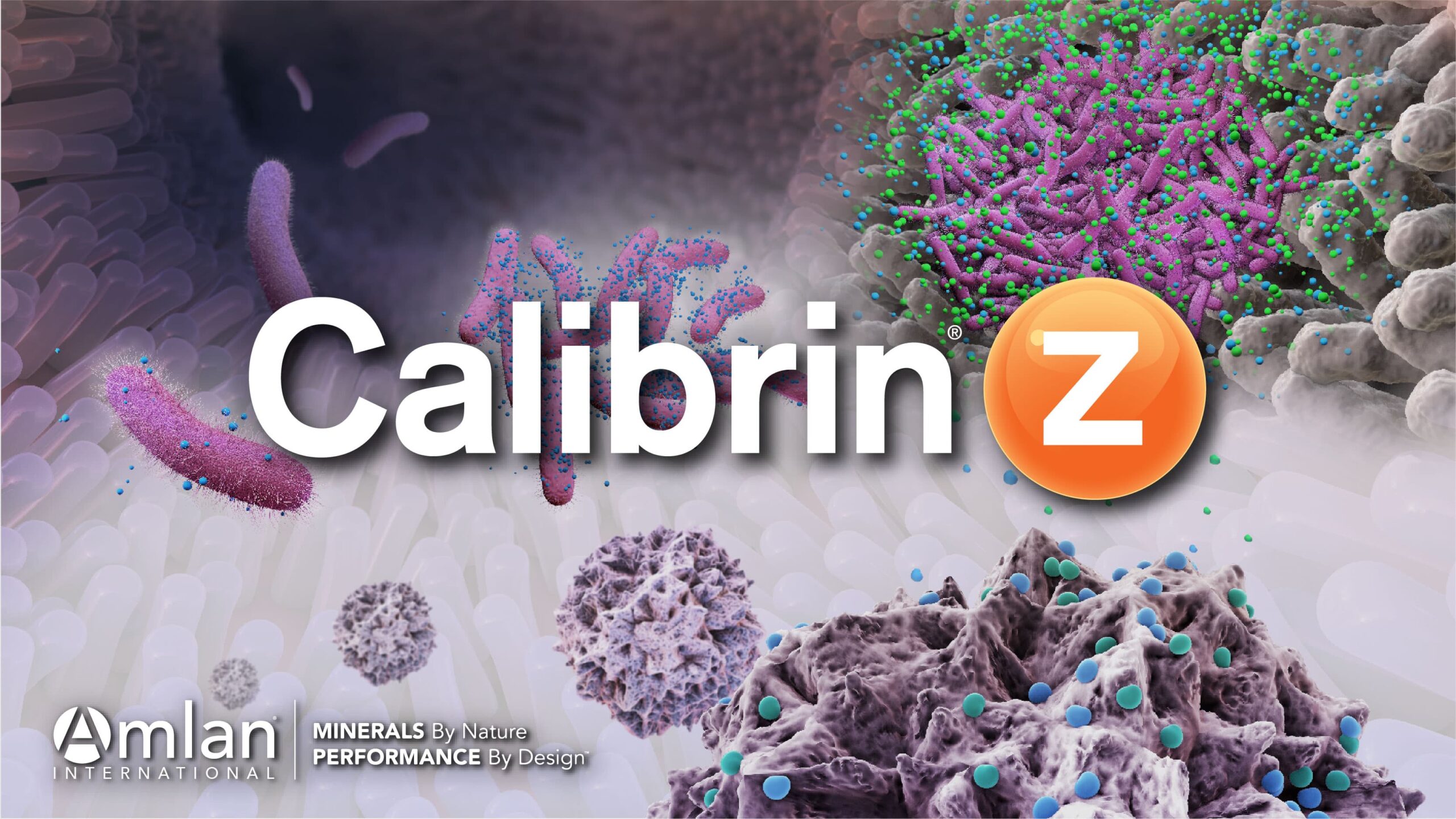 Calibrin®-Z Texto com bactérias no fundo.