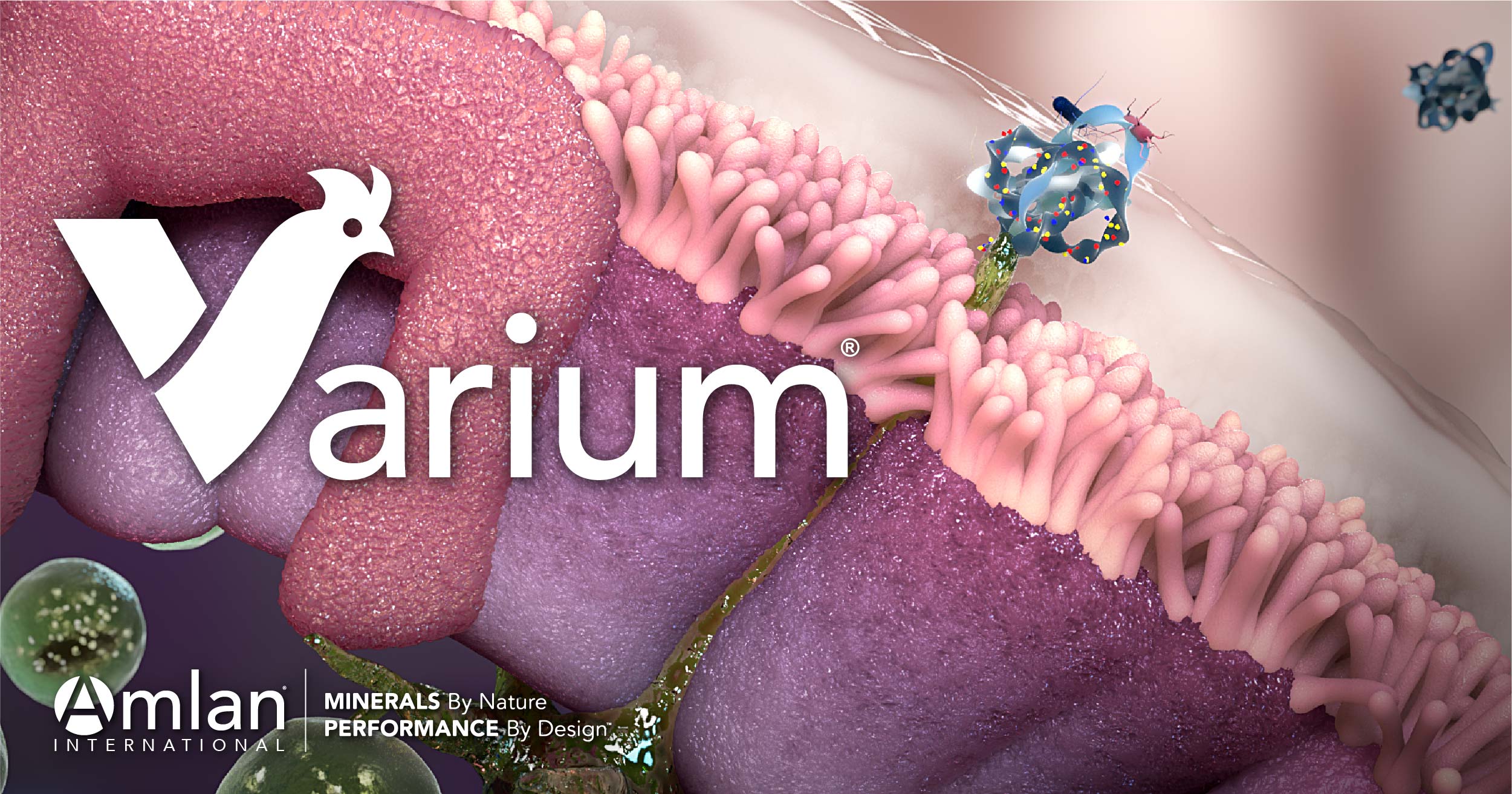Blog de produtos Varium