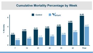 Gráfico da percentagem de mortalidade acumulada por semana