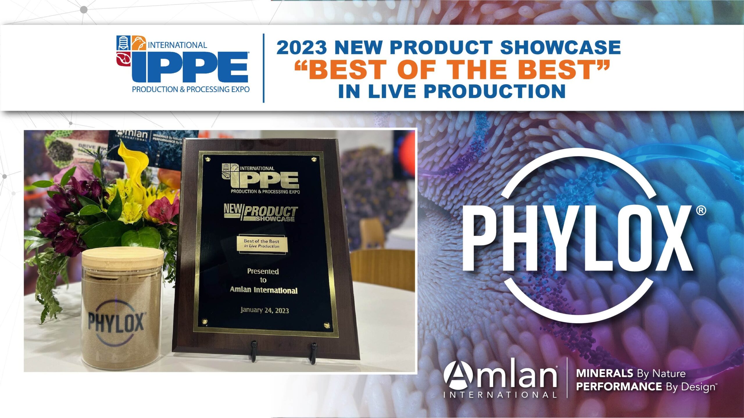 Phylox new product showcase award.